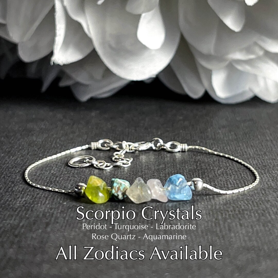 Scorpio Bracelet Astrology Gifts Anklet Zodiac Gift Etsy