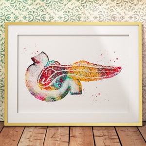 Pancreas Human Anatomy Internal Organs Poster Medical Science ...