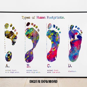 Types of Footprints Orthopedics Art Podiatry Decor biology Poster Medical Science Watercolor Digital Printable Download