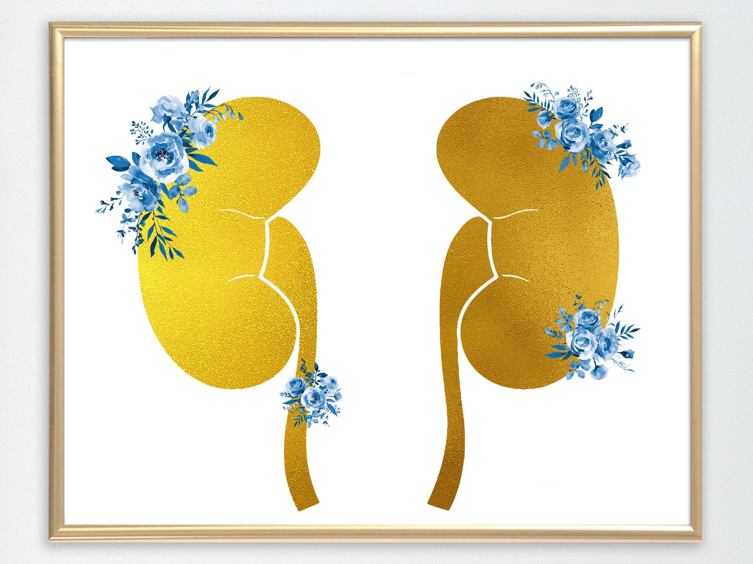 The Kidneys anatomy urology kidney illustration floral flowers Etsy