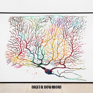 Purkinje Neuron Brain Neuroscience Cell Anatomy Neurosurgery Neurology art Medical Science Watercolor Digital Printable Download