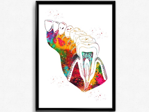 Dentistry Symbol Dentist Caduceus Watercolor Print Dentist Art Dental Clinic Art