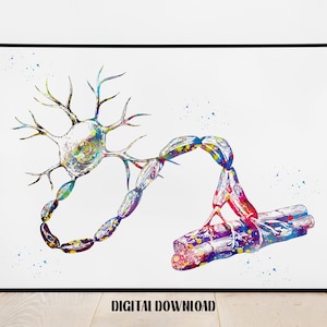Motor Neuron Cell Neurology Art Medical Science Watercolor Digital ...