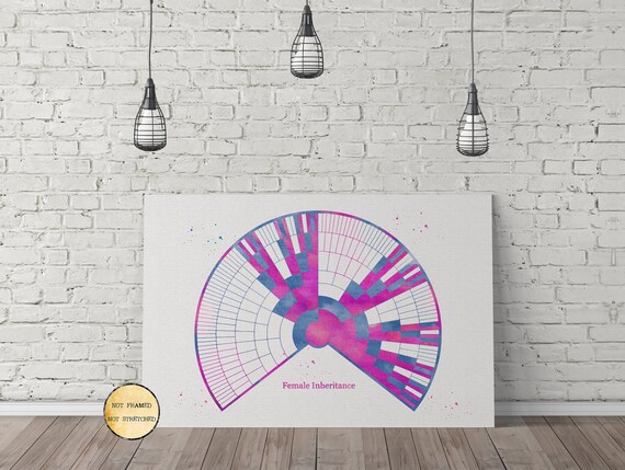 X Dna Fan Chart