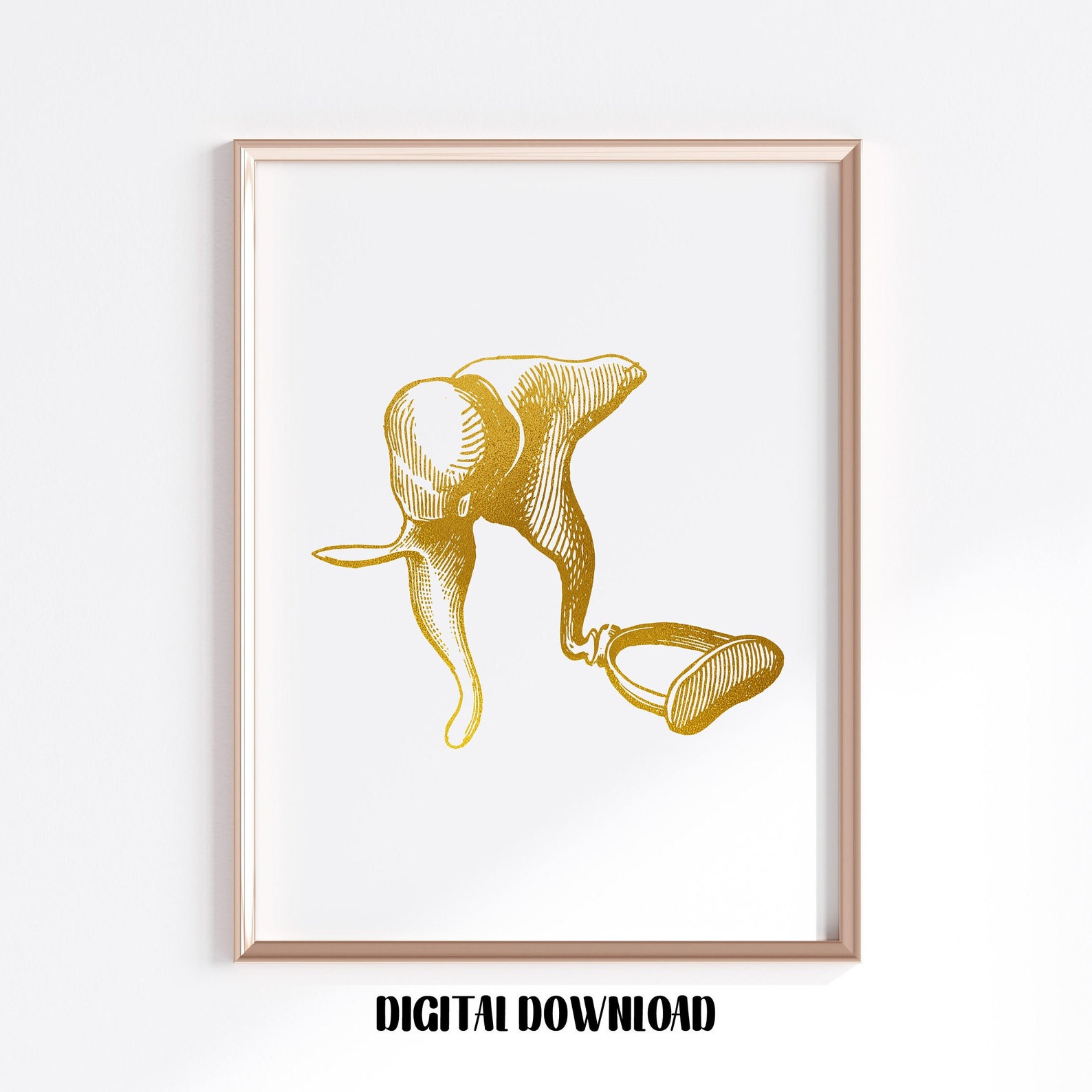MALLEUS ANATOMY EAR visual data 7