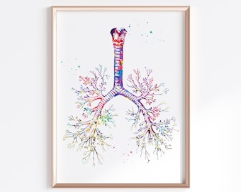 Printable Respiratory System Poster - Etsy