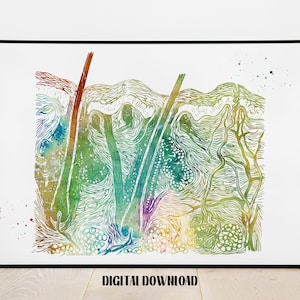 Skin Anatomy Watercolor Art Print: Epidermis Section (Digital Download)