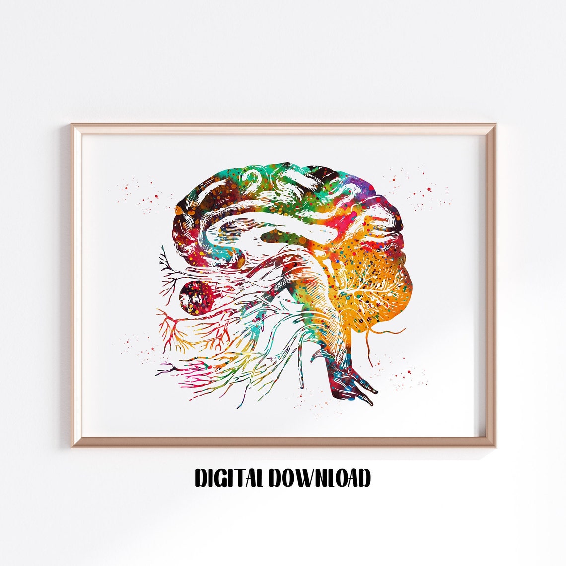 Brain Cranial Nerves Art Brain Anatomy Poster Watercolor - Etsy