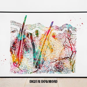 Skin section Epidermis Human Skin Integumentary System dermatology art skin Poster Medical Science Watercolor Digital Printable Download