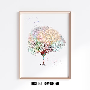 Purkinje Neuron Brain Neurology Neuroscience Anatomy Neurosurgery Medical Science Watercolor Digital Printable Download
