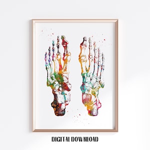 Foot Bones orthopedic surgery skeletal system anatomy poster Medical Science Watercolor Digital Printable Download