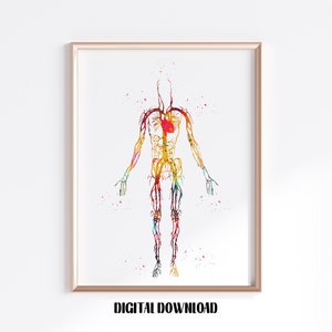 Watercolor Circulatory System Print: Human Veins Anatomy Poster (Digital Download)