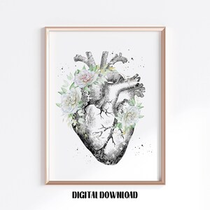 Human Heart  anatomy art surgery anatomical heart Medical Science Watercolor Digital Printable Download