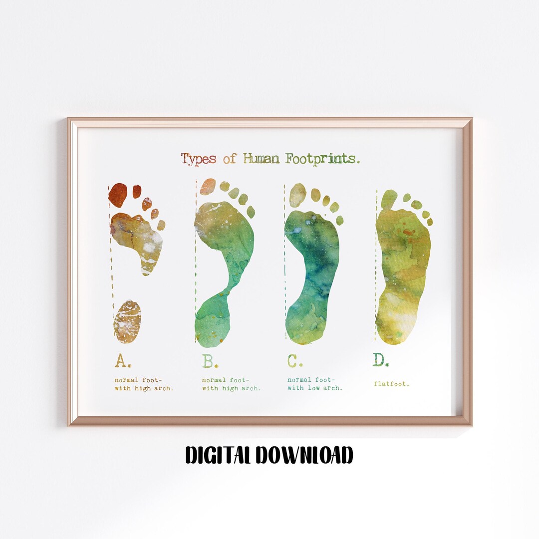 Types of Footprints Orthopedics Art Podiatry Decor Biology Poster