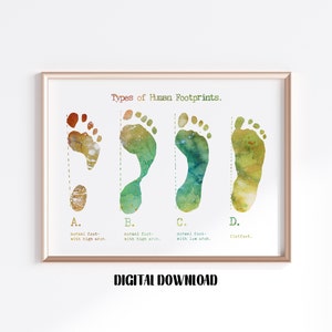 Soorten voetafdrukken Orthopedie Kunst Podotherapie Decor biologie Poster Medische Wetenschap Aquarel Digitaal Afdrukbaar Download