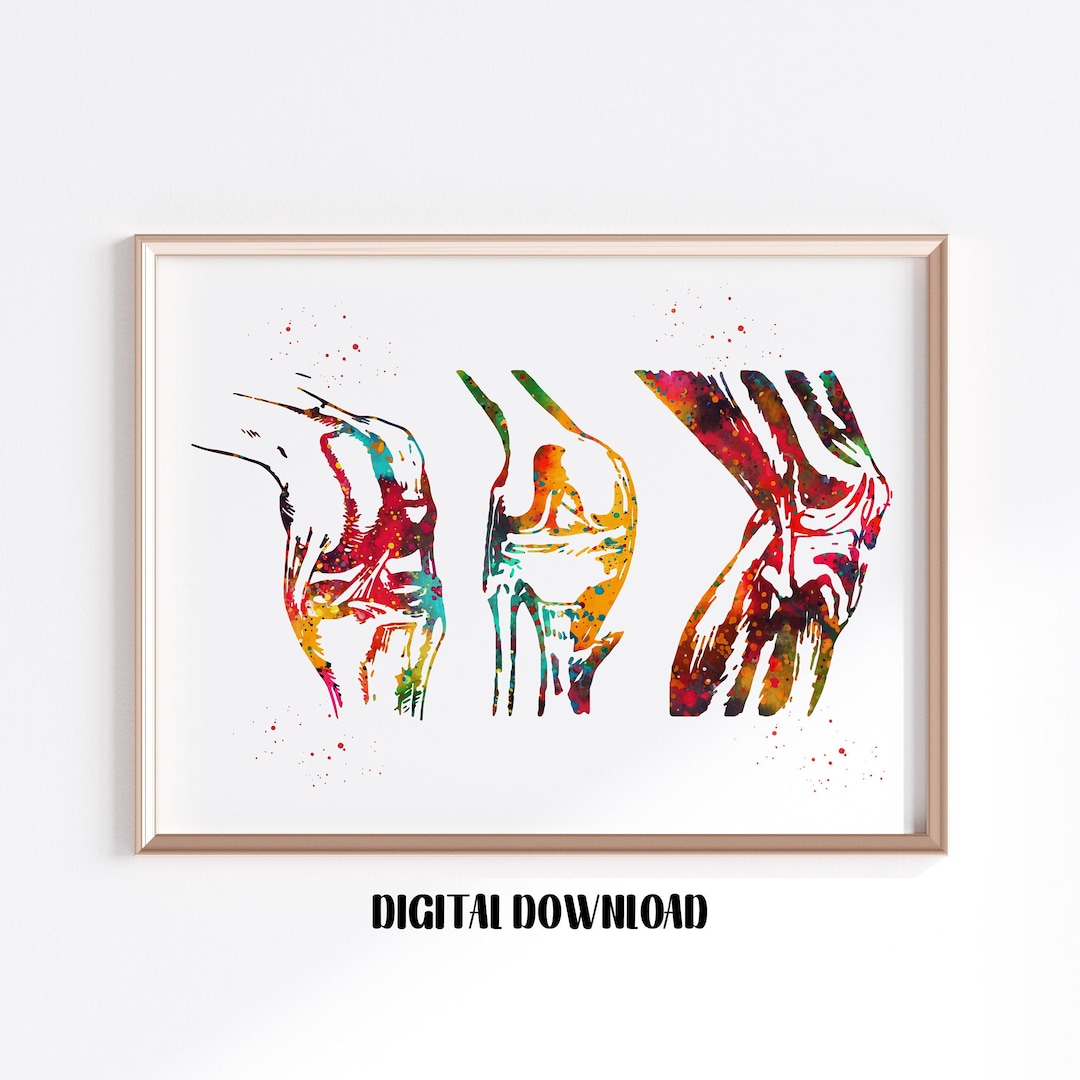 Knee Anatomy Orthopedic Surgeon Poster Medical Science Watercolor