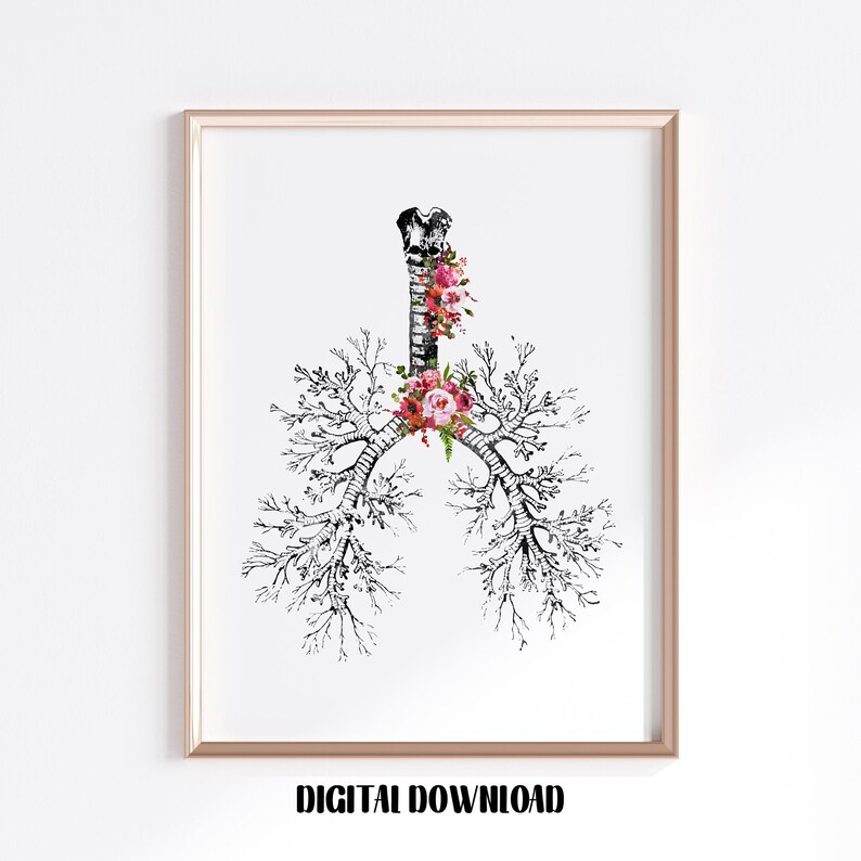 Bronchial Tree Lungs Anatomy Alveolar Respiratory System Human - Etsy