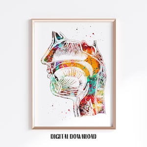 Respiratory system Nose Mouth Throat Larynx function anatomy art Medical Science Watercolor Digital Printable Download