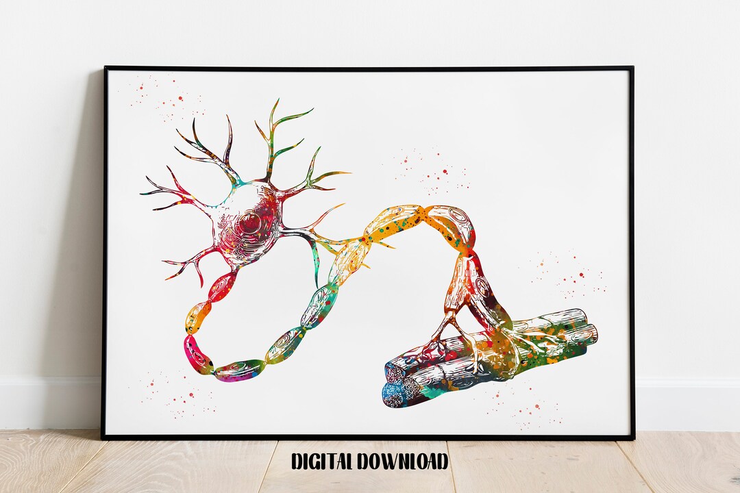 Motor Neuron Cell Neurology Art Medical Science Watercolor Digital ...