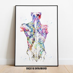 Rugspieren menselijke spieren anatomie lichaam anatomische biologie poster medische wetenschap aquarel digitale afdrukbare download