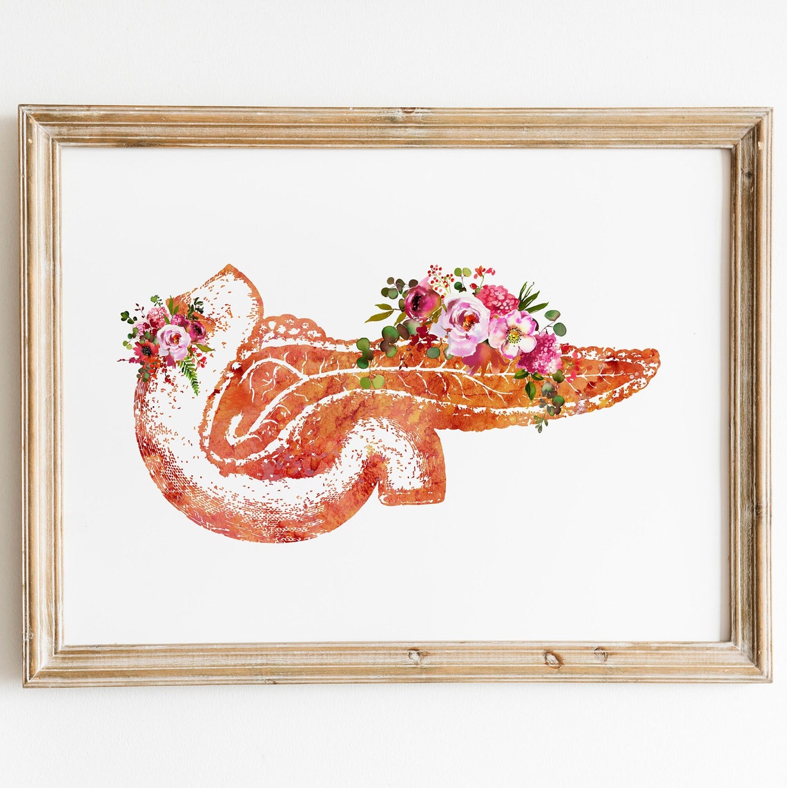 Pancreas Human Anatomy Internal Organs Medical Science - Etsy