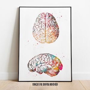 Human Brain Anatomy Poster Medical Science Watercolor Digital Printable Download