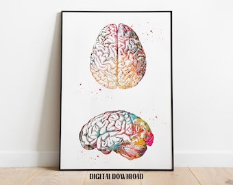 Human Brain Anatomy Poster Medical Science Watercolor Digital Printable Download