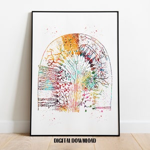 Nerve cells The Drawings of Santiago Ramón y Cajal  Biology Poster Medical Science Watercolor Digital Printable Download