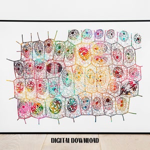 Mitosis Nature biology Poster Medical Science Watercolor Digital Printable Download
