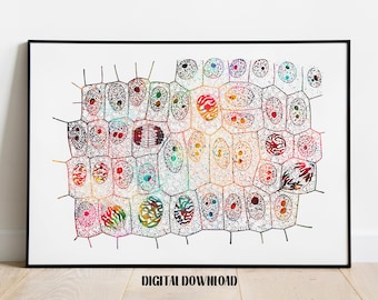 Mitosis Nature biology Poster Medical Science Watercolor Digital Printable Download