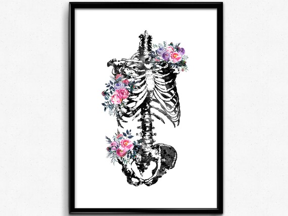 Skeleton Torso Watercolor Print Human Skeleton Anatomy Medical | Etsy