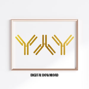 Antibody Antibodies Medical Art immunology Science Medicine immune system IgG Clinic Decor Golden Art Digital Printable Download