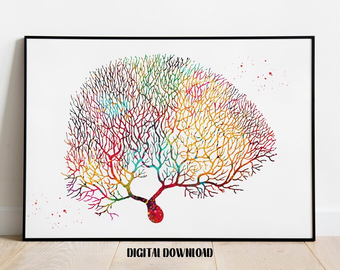 Purkinje Neuron Watercolor Art Print: Neuroscience Neurology Poster ...