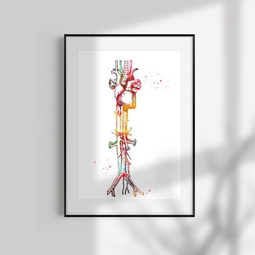 Floral Anatomical Heart Cardiology Art Medical Poster - Etsy