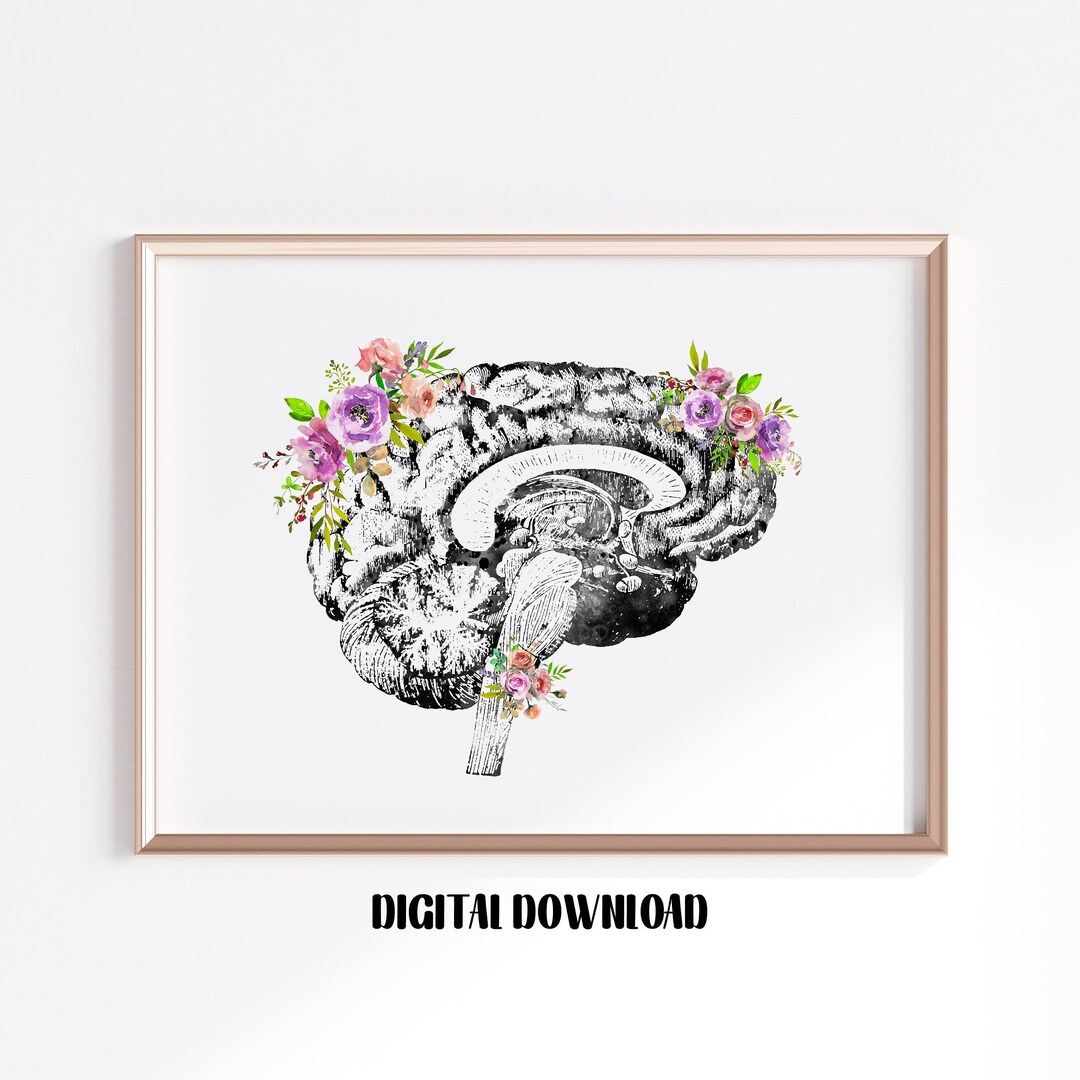 Brain Anatomy Cross Section Human Brain Poster Neurology Illustration ...