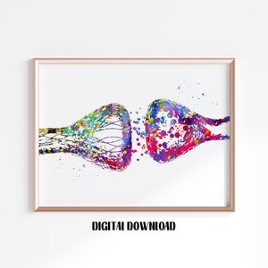 Human nerve cell synapse receptor brain neurology Neurotransmitters Poster Medical Science Watercolor Digital Printable Download