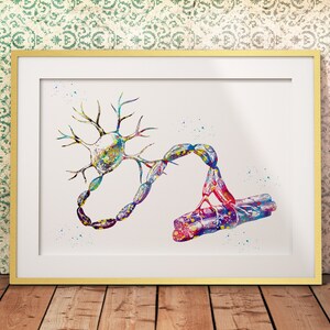 Motor Neuron Cell Neurology Art Medical Science Watercolor Digital ...