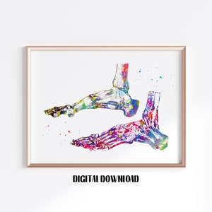 Foot Anatomy Watercolor Print: Orthopedic Art, Medical Science Poster (Digital Download)