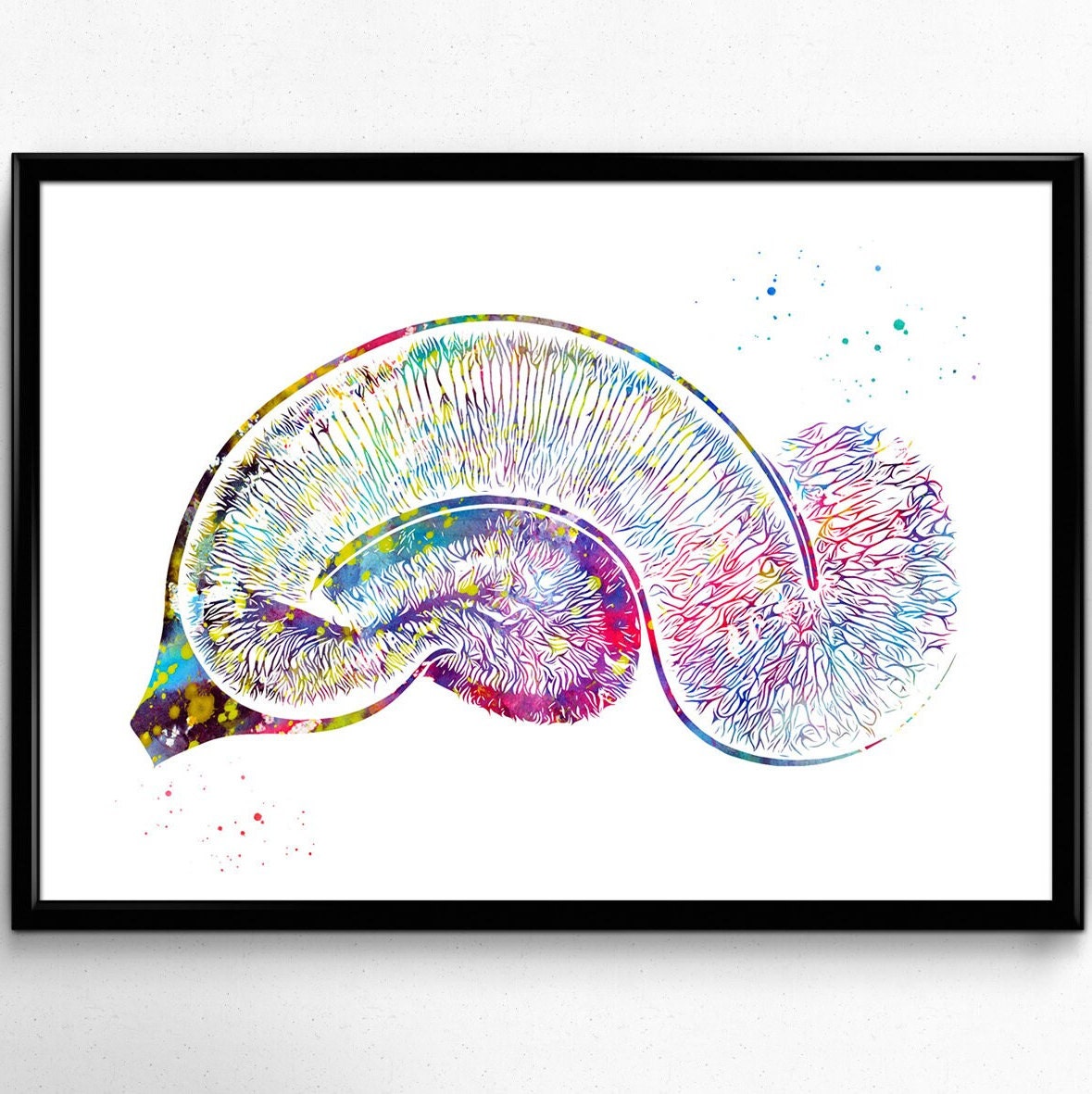 Hippocampus digital print