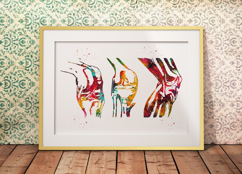 Knee Anatomy Orthopedic Surgeon Poster Medical Science Etsy