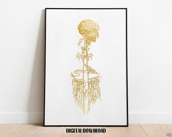 Vagus Nerve Art Parasympathetic Nervous System Poster Medical Science Golden Digital Printable Download
