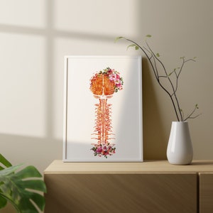 Brain and Cervical Art Anatomy Medical Science Watercolor Digital ...