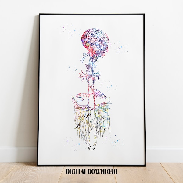 Vagus Nerve Art Parasympathetic Nervous System Poster Medical Science Watercolor Digital Printable Download