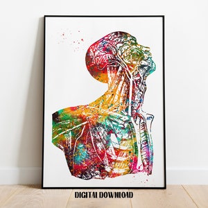 Head And Torso Anatomy Art Human Head Neck and Shoulder Poster Medical Science Watercolor Digital Printable Download