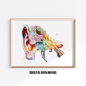 Menselijk oor anatomie audiologie dwarsdoorsnede van het oor poster medische wetenschap aquarel digitale afdrukbare download