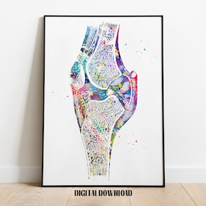 Knee bone human anatomy orthopedic skeletal system leg bones Poster Medical Science Watercolor Digital Printable Download