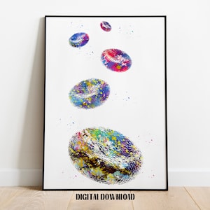 Czerwone Krwinki Histologia Krwi Hematologia Plakat Medyczna Nauka Akwarela Cyfrowa Do Wydruku Pobierz