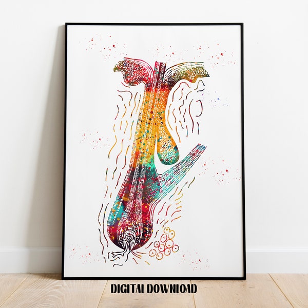 Cross Section of Human Hair Follicle Dermatology Hair Cell Art Medical Science Watercolor Digital Printable Download