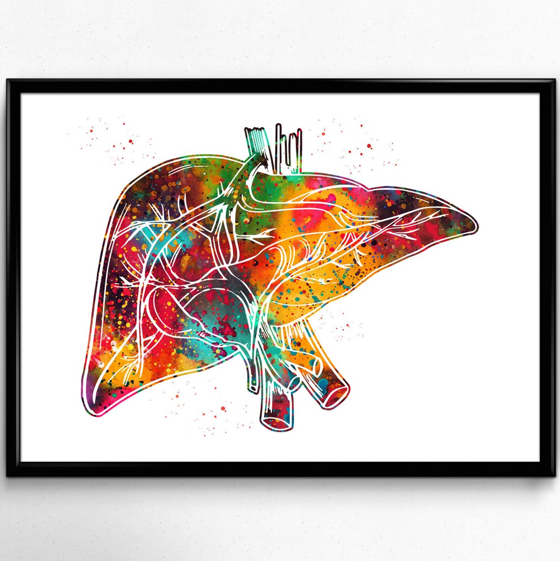 Liverhuman Liver Liver art Liver illustrationmedical | Etsy