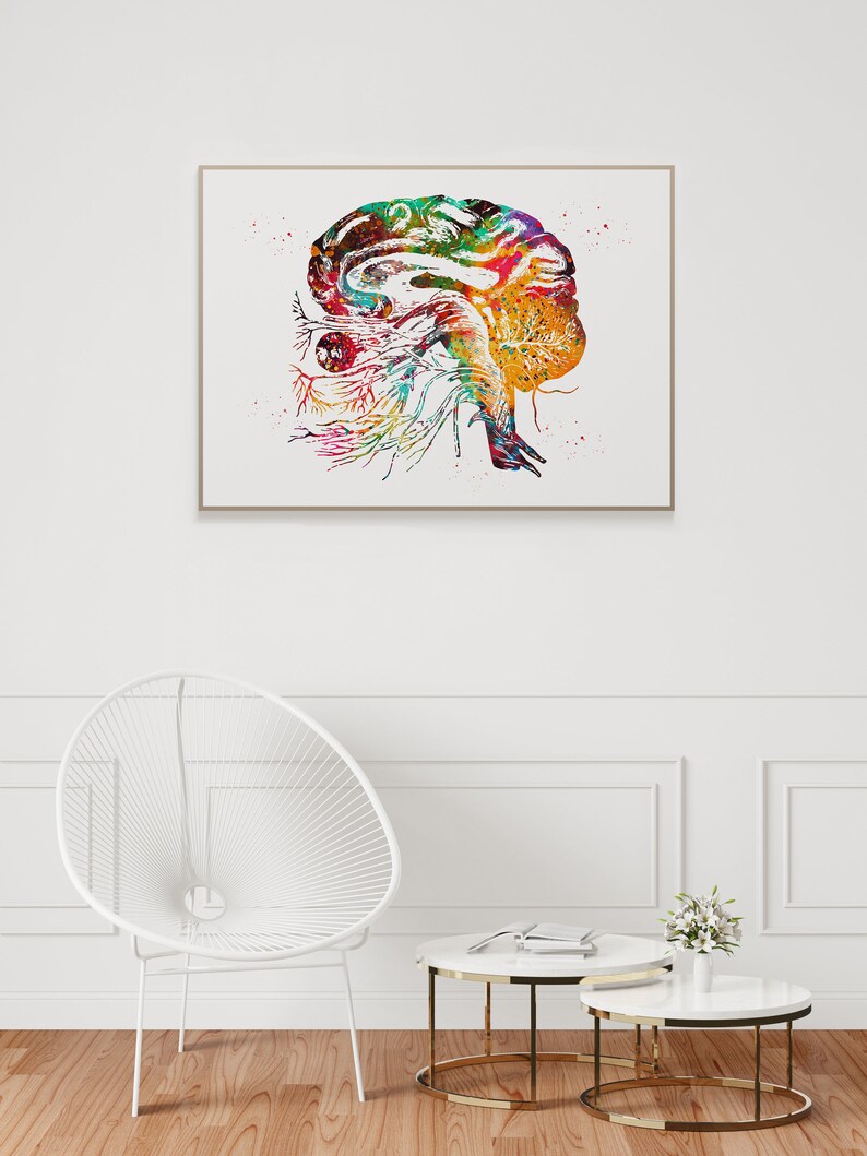 Brain Cranial Nerves Art Brain Anatomy Poster Watercolor - Etsy